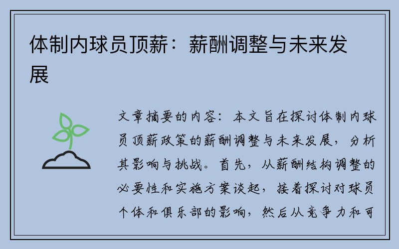 体制内球员顶薪：薪酬调整与未来发展