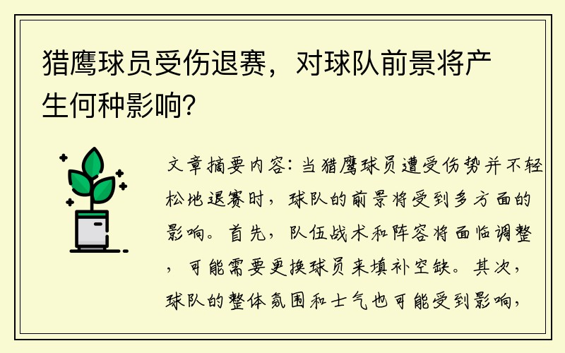 猎鹰球员受伤退赛，对球队前景将产生何种影响？